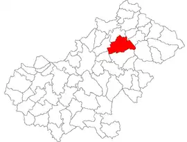 Location in Satu Mare County