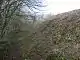 A steep grassy bank to the right, with bare trees to the left