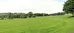 a grassy hillside with trees and houses in the distance