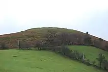 Llwyn Bryn-dinas from the north