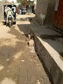 Local transportation with Chinchi in Tharparkar