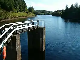 A lake surrounded by trees