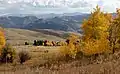 Yellowstone National Park, seen from Gallatin