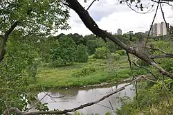 View of Raymore Park in Humber Heights – Westmount