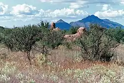 Guevavi Mission Ruins