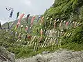 Koi banners flying over Oboke Koboke