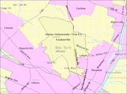 Loudonville census-designated place (CDP) in 1990