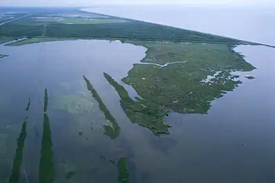 Image 51Aerial view of Louisiana's wetland habitats (from Louisiana)