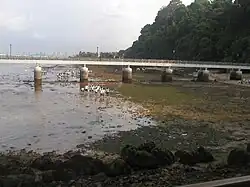 Labrador Nature Reserve during low tide