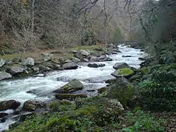 A white stream flowing between rock banks through woodland