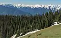 Ludden Peak in upper left