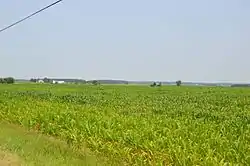 Cornfield in the township's southeast