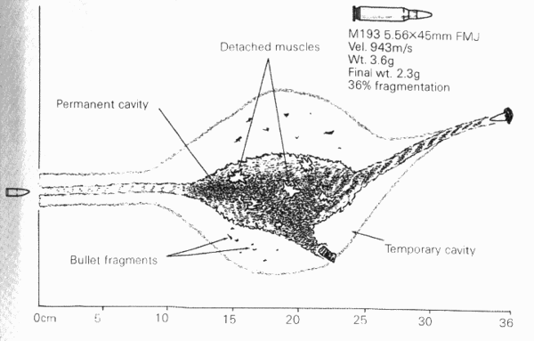 M16 5.56x45mm wound ballistics