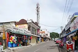 Main road in Masinagudi