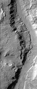 Section of Maʼadim Vallis as seen by HiRISE.  A more recent flow of water may have formed the smaller, deeper channel to the right.