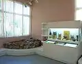 Prehistoric Exhibits from Excavation in Kilkis Area