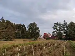 Fields in October