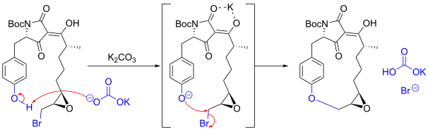 Synthesis of macrocidin A via SN2 etherification.