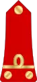 Lieutenant(Madagascar Ground Forces)