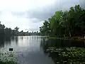 Beautiful lake