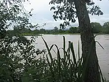 The Magdalena River at Villa Vieja