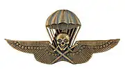 Royal Hungarian Army parachutist badge in bronze