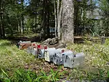 Abandoned mailboxes