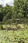 Main Botanical Garden of the Academy of Sciences of Russia (Exhibition "Japanese Garden)