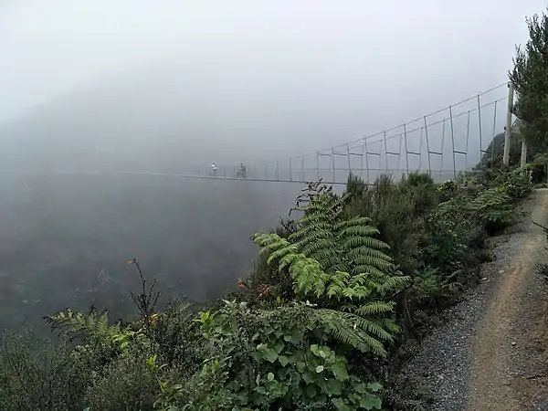 Swing Bridge on Upswing track of the Makara Peak Mountain Bike Park