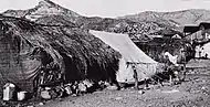 Makeshift dwellings in Helvetia in 1902.