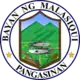 Official seal of Malasiqui