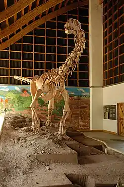  Malawisaurus (Malawi lizard) on display at the Cultural Museum Centre Karonga