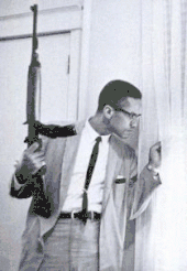 Malcolm X, carrying a rifle, peers out the window