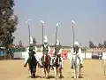 Malik Ata, Mian Javed Akhtar, Ashraf Hayat Gondal, Ch Zulfiqar Ali at the BTA Championship South Africa 2011