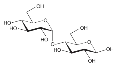 Maltose