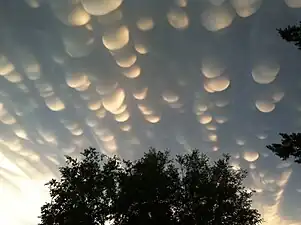 Mammatocumulus with drooping pouches