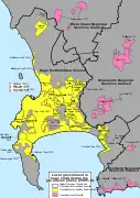 The "pre-interim phase" (1995–96), in which local authorities were transformed into Transitional Metropolitan Substructures under the Cape Metropolitan Council (CMC).