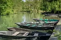 Typical boats (barques) of Marais-poitevin.