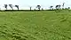 Concentric hillfort defenses at Caer Cwmphilip