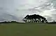 Mynydd y Castell Hillfort, in Margam Country Park