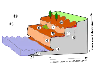 marine terraces