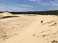 View of the sand dunes behind Marley Beach.