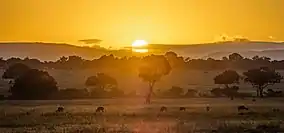 Maasai Mara scenery