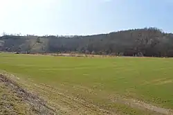 Winter wheat fields south of Arabia