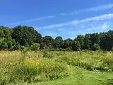 Experimental Meadow at Meadowlark Gardens