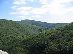 Mecsek Mountains, in the northern area of the county