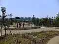 Roof garden terraces