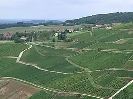 A general view of Menétru-le-Vignoble