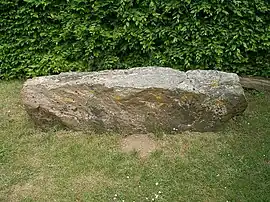 Fallen menhir