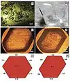 Figure 1. (a, b, d) Optical images of meridianiite, MgSO4•11H2O. Courtesy Genceli et al. 2007.